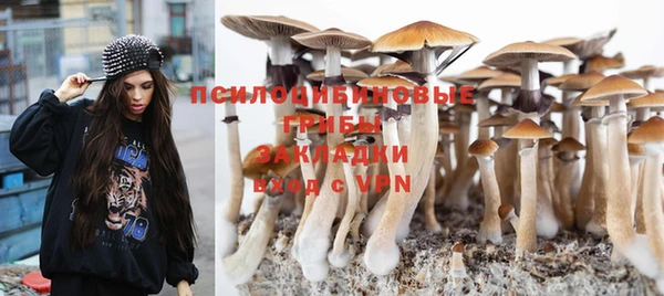 бошки Балахна